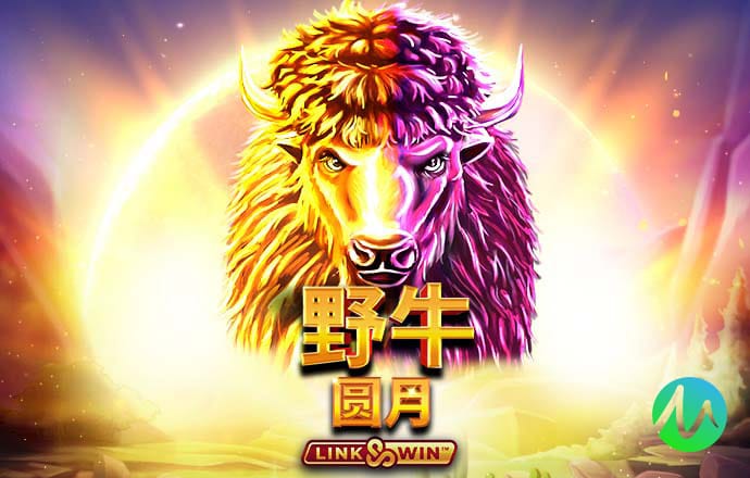 大红鹰dhy6563